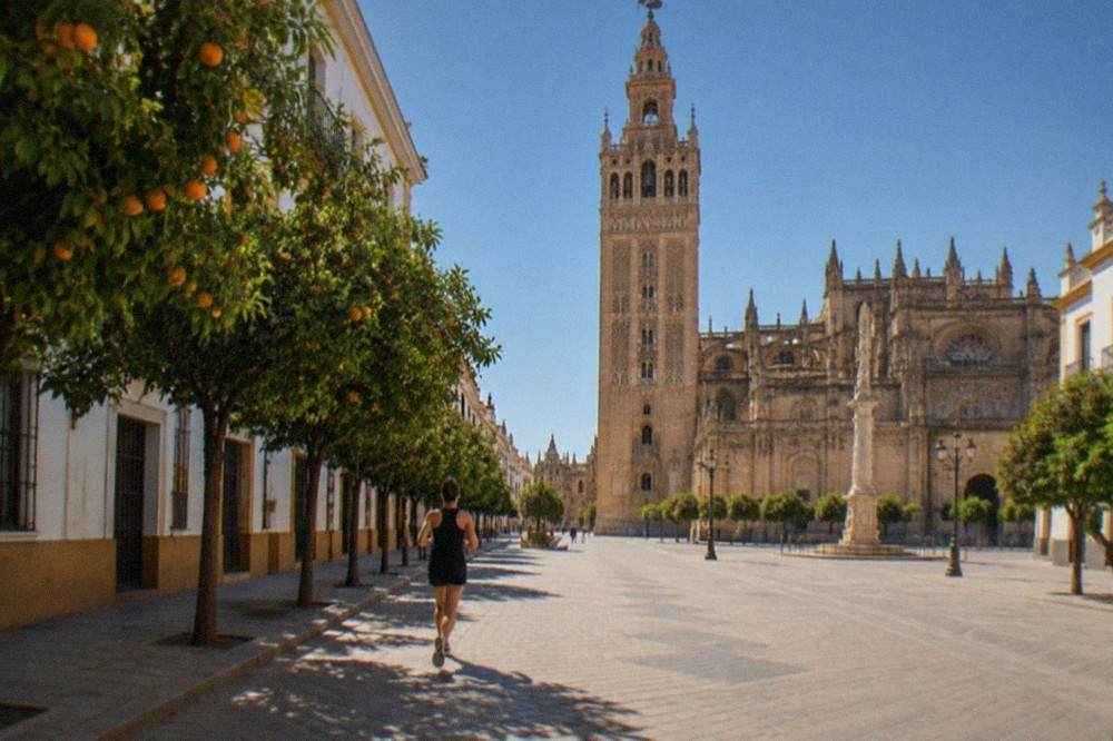Orange trees lining a quiet street in Seville near the cathedral quarter