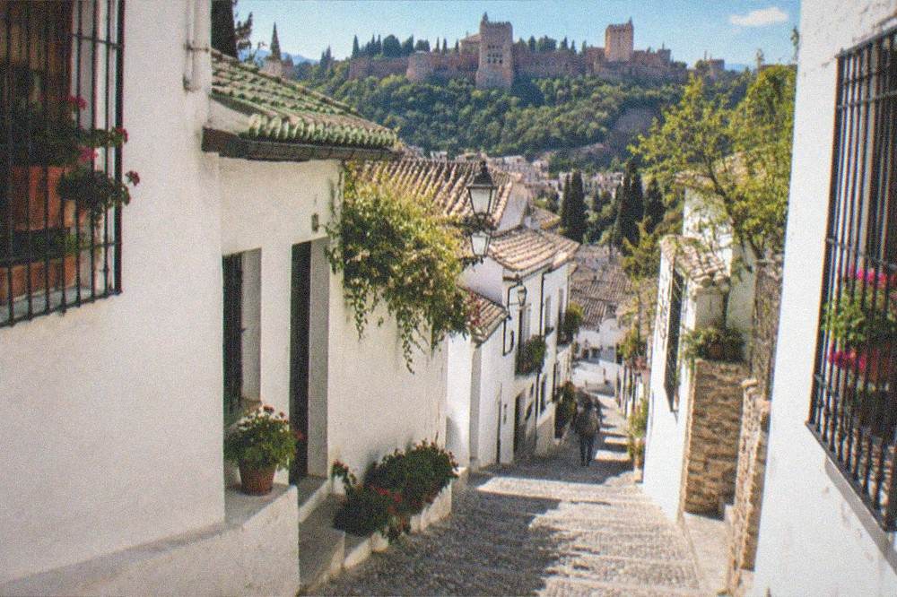 Spring morning on a hillside terrace with potted flowers and a view over rooftops