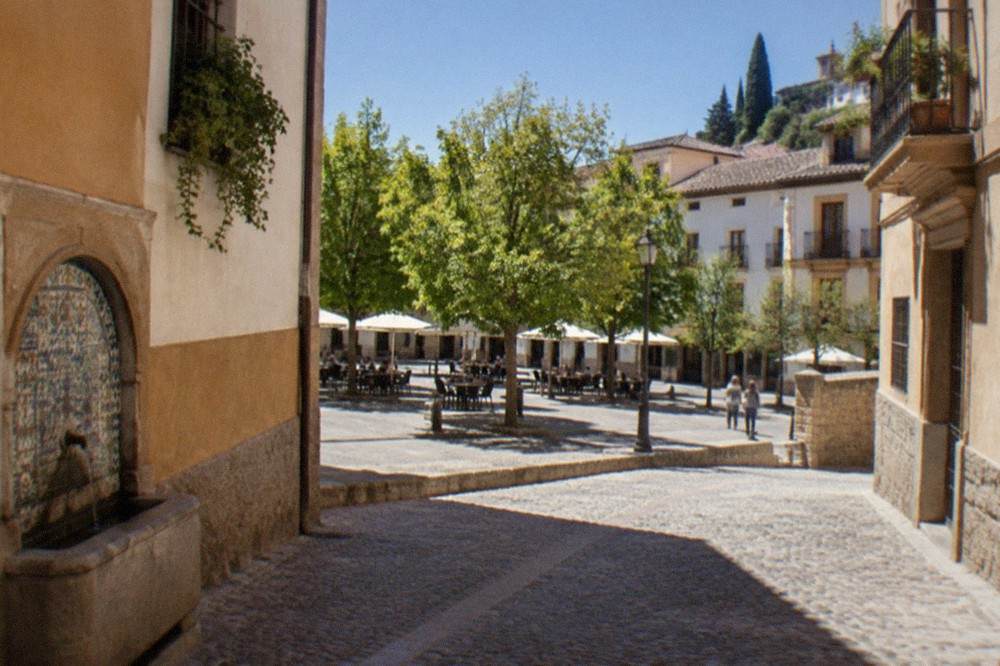 Plaza de Campo del Principe in the Realejo, an open square with trees and cafe tables