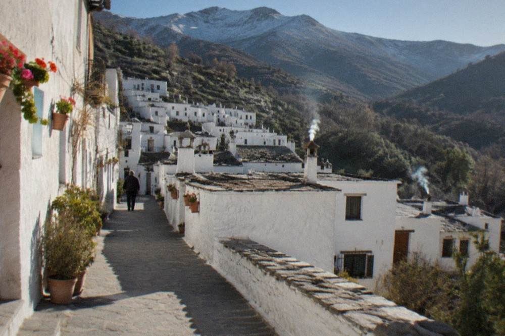 A narrow village street with whitewashed flat-roofed houses and flower pots