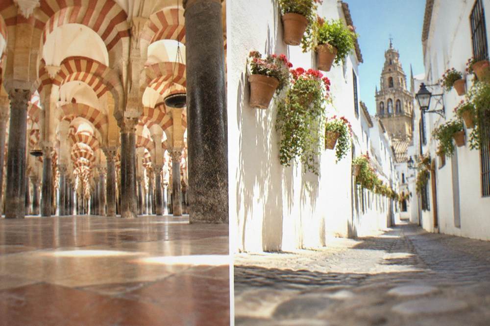 A narrow whitewashed street with flower pots on the walls in Cordoba's old Jewish quarter