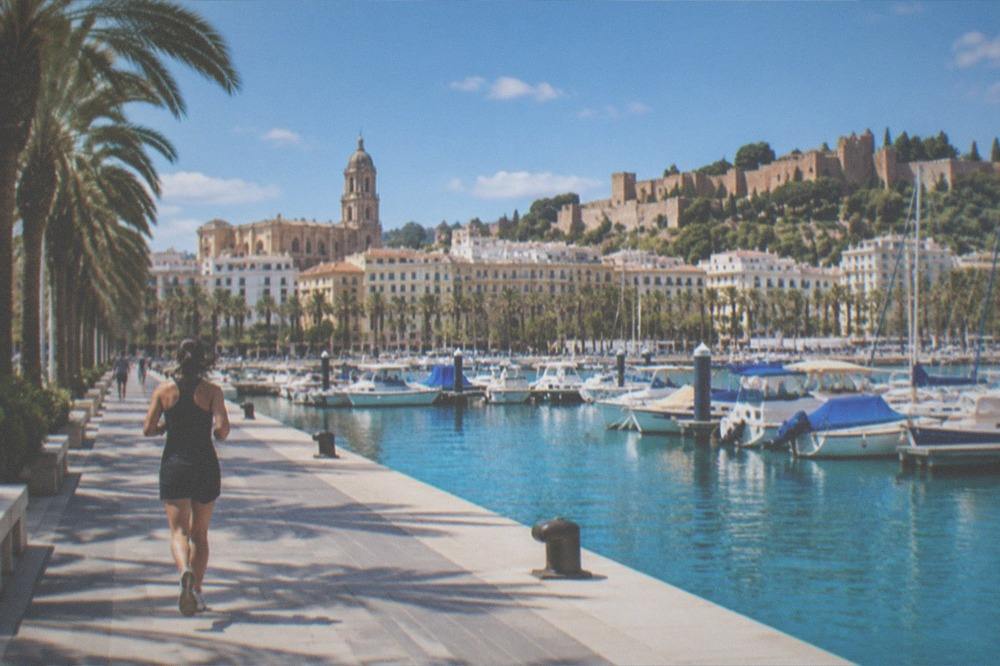 The port city of Malaga seen from above with its cathedral tower