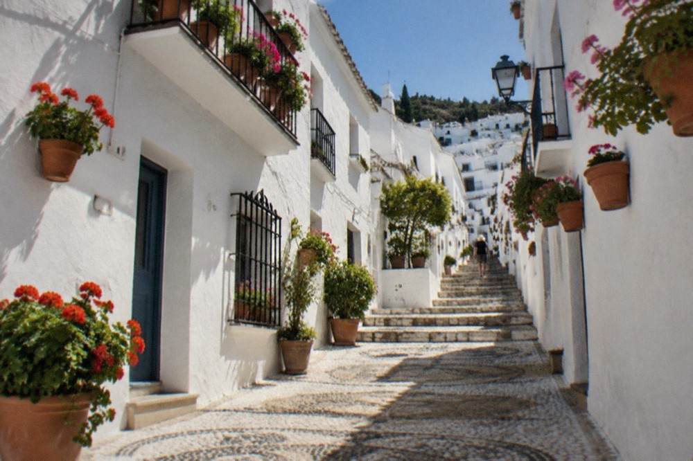 A narrow stepped lane between whitewashed houses decorated with flower pots