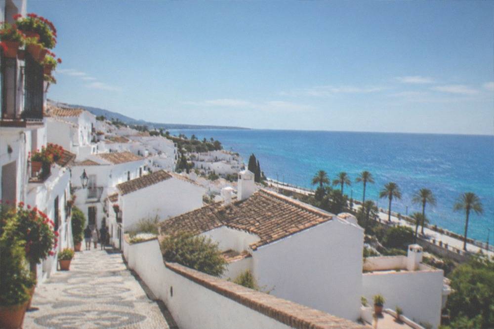 A coastal promenade with palm trees and a view over the Mediterranean