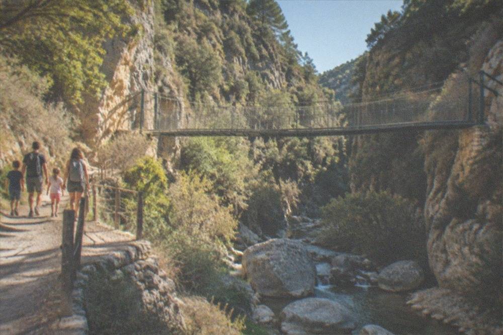 A family walking a well-maintained path beside a mountain stream inside a canyon