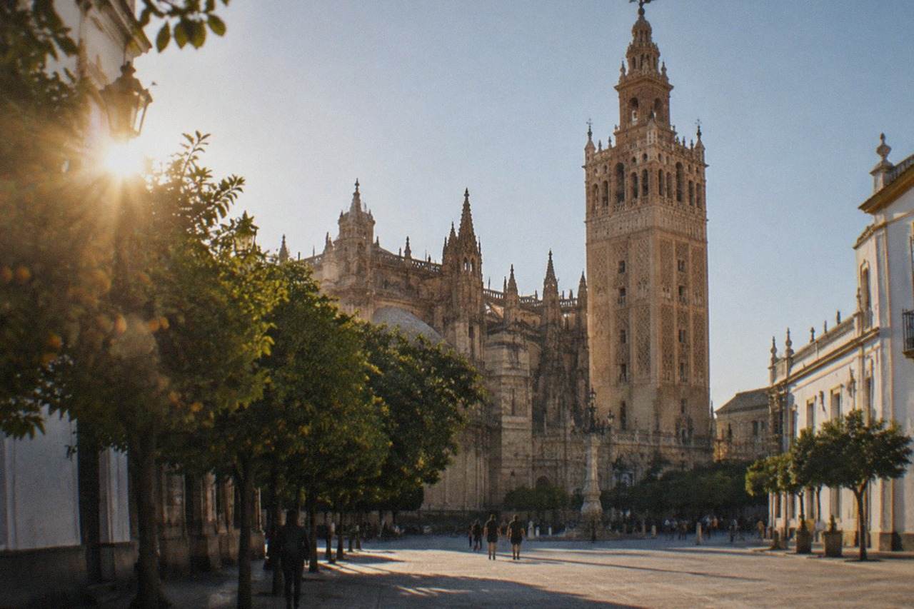The Giralda tower rising above Seville's cathedral rooftops in warm afternoon light