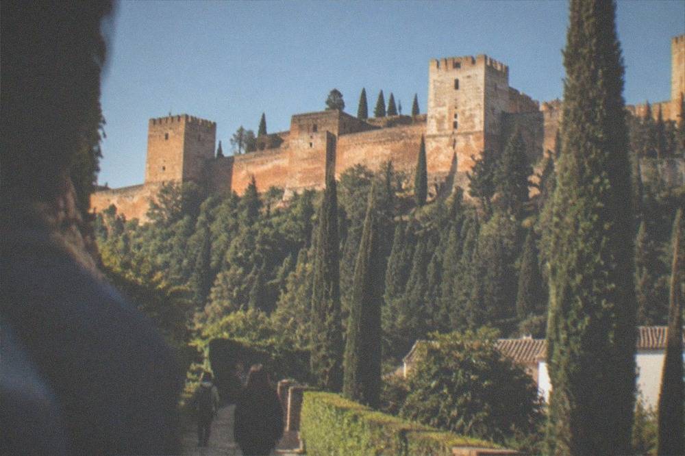 Visitors walking along a cypress-lined garden path inside the Alhambra complex