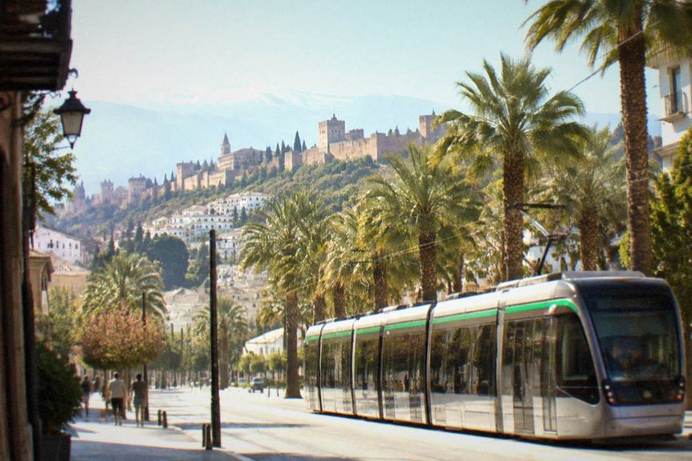 A modern tram vehicle passing a palm-lined avenue in a southern Spanish city