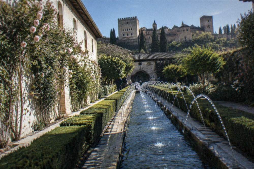 A quiet courtyard garden with water channels and trimmed hedges inside the Generalife