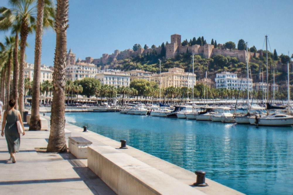 Palm trees and a wide promenade along the Mediterranean shoreline in Malaga on a bright day