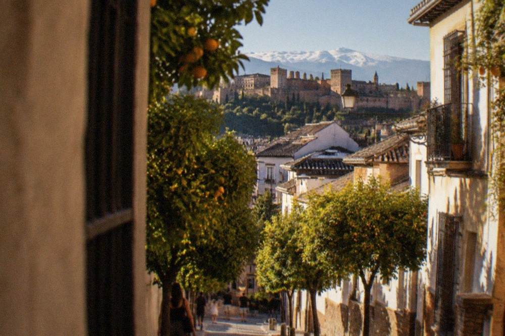 An orange-tree lined street in central Granada on a warm sunny afternoon