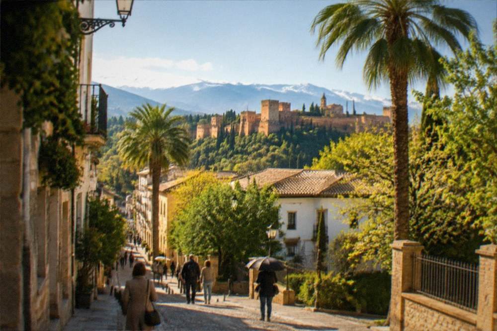 Palm trees and historic buildings along a sunny street in central Granada in spring